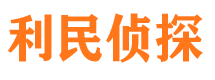 湖滨市私家侦探